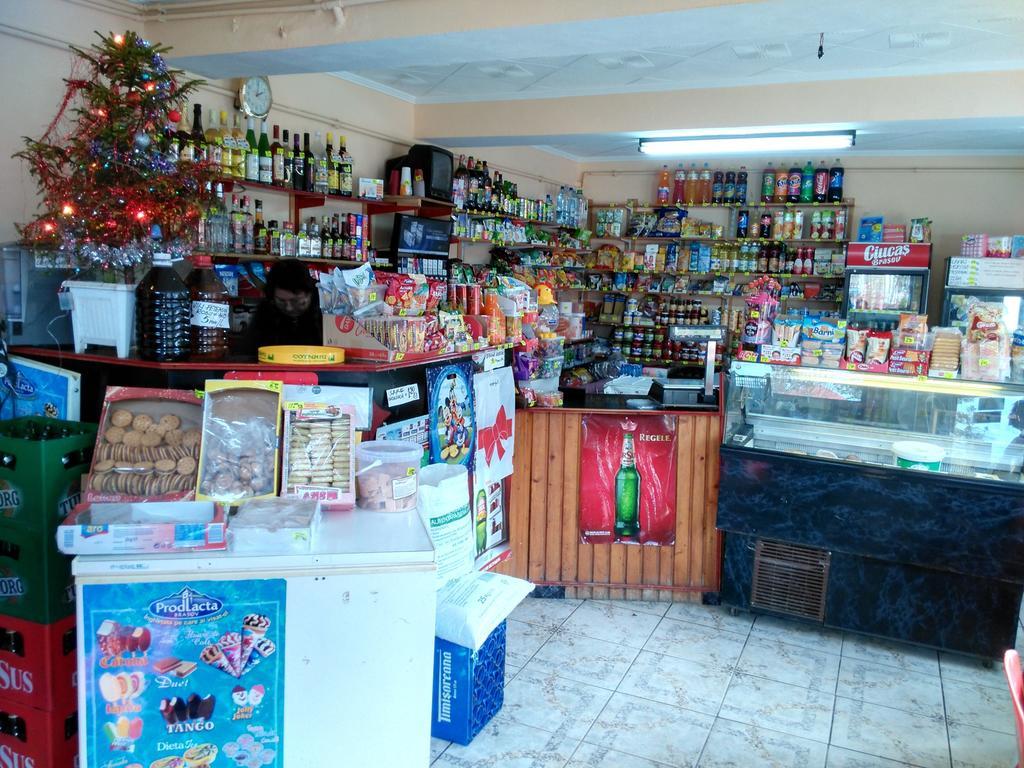 Vila Marcela Buşteni Δωμάτιο φωτογραφία