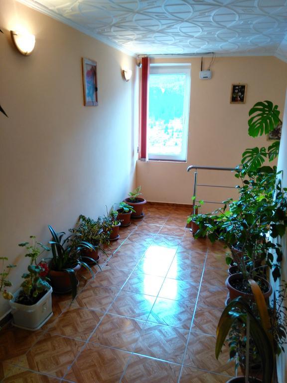 Vila Marcela Buşteni Δωμάτιο φωτογραφία