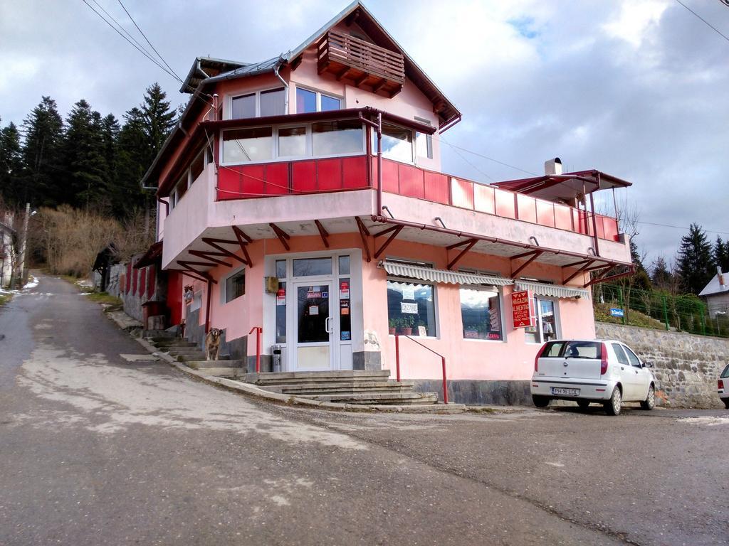 Vila Marcela Buşteni Εξωτερικό φωτογραφία